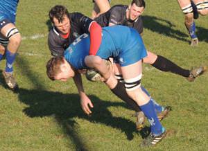 Rugby Reports 7th February 2015